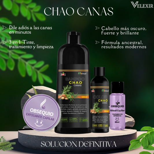 Shampoo Chao Canas